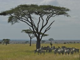 Western_Corridor_(Kirawira)2003-064